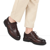 Elegante Herren Derby-Schuhe aus braunem Leder mit Brogue-Muster (395-2887)