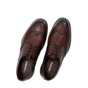 Herren Leder-Schnürschuhe Braun (550-4740)